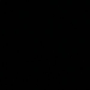 Meet your Posher, Ray